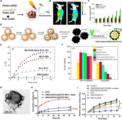 PLGA-Based Drug Delivery Systems for Remotely Triggered Cancer Therapeutic and Diagnostic Applications